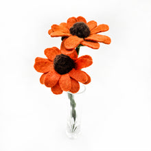 Autumn Flowers