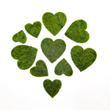 Hearts (Set of 15)