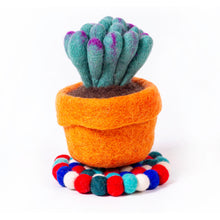 Potted Cactus