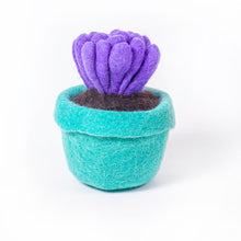 Potted Cactus