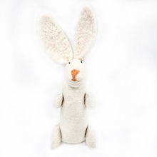 Grandpa Bunny