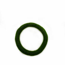 Ring Pet Toy